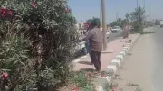 المنيا تواصل حملات النظافة ورفع المخلفات للحفاظ على البيئة