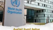 الوزراء يبرز إشادة الصحة العالمية بجاهزية الترصد الوبائي بمصر