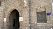 قصر المنيل ومتحف الصيد.. كنز يضم أندر الفراشات والحيوانات المحنطة