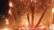 اندلاع حريق في نخيل بصحراوي قنا دون خسائر بشرية