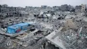 غزو القوارض لقطاع غزة بسبب جثث القتلى تحت الأنقاض