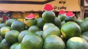 حقيقة البطيخ المسرطن في الأسواق المصرية.. نائب يوضح الحقيقة