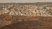 تصاعد المقاومة الفلسطينية بالضفة تزامنا مع تسارع الاستيطان الإسرائيلي