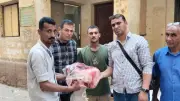 ضبط 600 كيلو لحوم وأسماك وكبدة فاسدة في حملة تموينية بمنفلوط بأسيوط