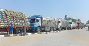 محافظ أسيوط: توريد 241 ألف طن قمح منذ بداية الموسم