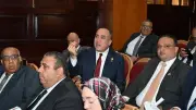 مطالبات بحضور محافظ الجيزة لمجلس الشيوخ لمناقشة مشكلات منطقة أبو رواش الصناعية