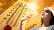 طقس شديد الحرارة في الصعيد غداً الأحد 14-6-2026 والأرصاد تحذر من ارتفاع الرطوبة
