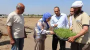 كلية الزراعة بمشتهر تطلق موسم زراعة الأرز بالمزرعة البحثية لدعم الدراسات التطبيقية