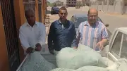 ضبط نصف طن دقيق مدعم قبل تهريبه للسوق السوداء في القرنة بالأقصر