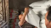 تحركات مكثفة للإصلاح الزراعي في البحيرة.. من كارت الفلاح إلى مشروعات التسمين