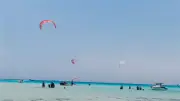 توافد سياحي كبير على جزيرة أبو منقار بالغردقة.. جوهرة البحر الأحمر