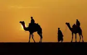 دروس وعبر من الهجرة النبوية: طلع البدر علينا