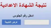 موعد إعلان نتيجة الشهادة الإعدادية بالمنوفية بعد انتهاء التصحيح