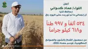 محافظ المنيا: توريد 525 ألف طن من القمح المحلي منذ بدء موسم الحصاد 2026