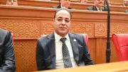 برلماني: ما يحدث في غزة جريمة إنسانية ومصر تقود تحركًا تاريخيًا لوقف الحرب