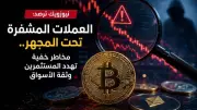 نيوزويك: العملات المشفرة تحت المجهر.. مخاطر تهدد المستثمرين وثقة الأسواق