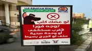 محافظ قنا: 10 دقائق زمن استجابة الخط الساخن لبلاغات الكلاب الضالة