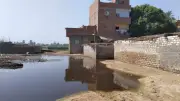 الإنقاذ النهري ينتشل جثة شاب عاطل طافية في النيل بالحوامدية