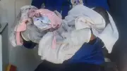 مسعفان يساعدان ربة منزل على ولادة توأم داخل سيارة إسعاف بقنا