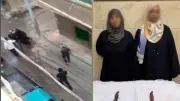 القبض على سيدتين تعدتا على نجار بأسلحة بيضاء في دمنهور