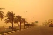 طقس الغد: حار رطب بالقاهرة ورياح مثيرة للرمال بجنوب الصعيد