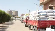 توريد 343.2 ألف طن قمح لصوامع بني سويف منذ انطلاق الموسم