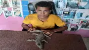 شاب يعثر على تمساح صغير داخل كيس أسفل كوبري في المنوفية ويسلمه للطب البيطري
