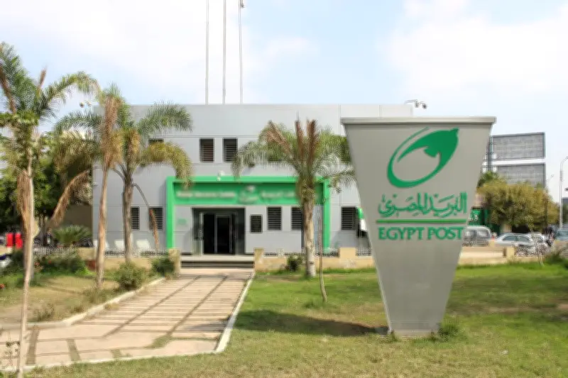 البريد المصري يطلق النسخة الجديدة من تطبيق Easy Pay بمزايا متطورة