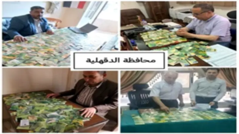 ضبط 9837 بطاقة تموينية مجمعة في 14 محافظة مصرية