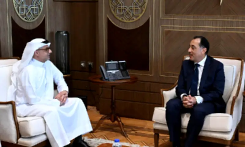 اتفاق مصري إماراتي على زيارة ميدانية لمتابعة نسب الإنجاز في رأس الحكمة