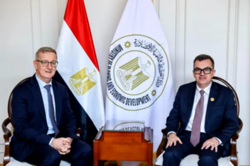 وزير التخطيط يستعرض مؤشرات الاقتصاد المصري أمام سفير أيرلندا
