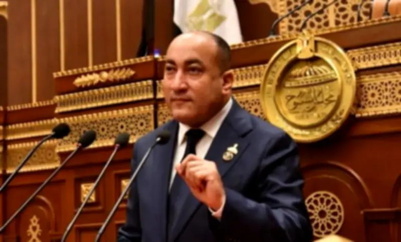 النائب عمرو رشاد: الأوكتاجون منظومة تصنع القرار وتحمي الدولة