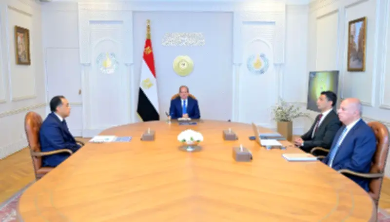 السيسي يوجه بالتوسع في إنتاج المركبات الكهربائية في مصر