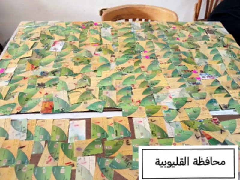 ضبط 9837 بطاقة تموينية مجمعة داخل مخابز ومنافذ بـ14 محافظة