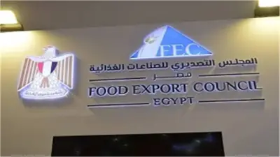 مصر الـ11 عالمياً في صادرات البطاطس المجمدة المحضرة بقيمة 253 مليون دولار