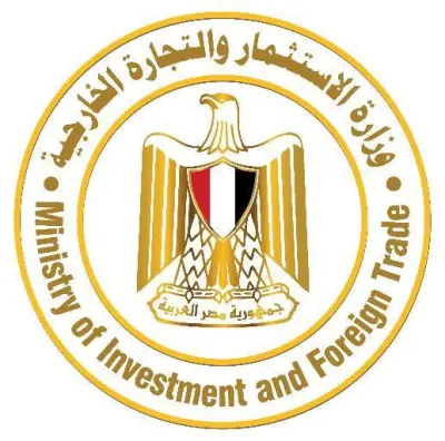 وزارة الاستثمار تطلق منصة Startup Egypt لدعم الشركات الناشئة وتعزيز ريادة الأعمال