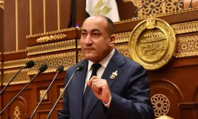 النائب عمرو رشاد: بيان 3 يوليو 2013 أنقذ الدولة ومهد لانطلاق الجمهورية الجديدة