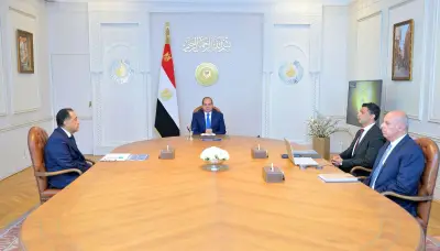 السيسي يوجه بالتوسع في إنتاج المركبات الكهربائية في مصر