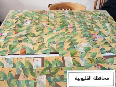 ضبط 9837 بطاقة تموينية مجمعة داخل مخابز ومنافذ بـ14 محافظة