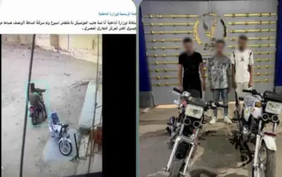 سقوط لصّي دراجة نارية سرقا هاتفًا أمام منزل بالدقهلية
