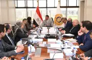 1000 ميغاوات للمصانع خلال عامين.. وزير الصناعة يكشف خطة التحول للطاقة الشمسية