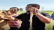 بعد وفاة سيدة وطفل.. اصطياد 5 ثعابين والعثور على جلد كوبرا بقرية القراقرة بالشرقية