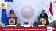 وزير الخارجية: علاقة مصر والاتحاد الأوروبي استراتيجية شاملة تقوم على الاحترام المتبادل