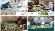 ضبط 9837 بطاقة تموينية مجمعة في 14 محافظة مصرية