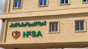 سلامة الغذاء تواصل العمل خلال العطلات لدعم الصادرات الزراعية المصرية