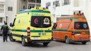 إصابة رجل وابنته بلدغة عقرب داخل منزلهما بالشرقية
