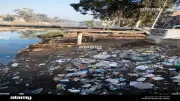عقوبات صارمة تصل للحبس و500 ألف جنيه لإلقاء القمامة في النيل والترع