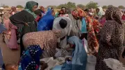 شبكة أطباء السودان تحذر: 200 ألف مواطن في بارا يعانون أوضاعًا مأساوية